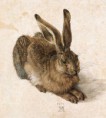 /album/fotogaleria-acuarela/durer-young-hare-jpg/