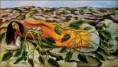 /album/fotogaleria-frida-kahlo/raices-de-frida-kahlo-jpg/
